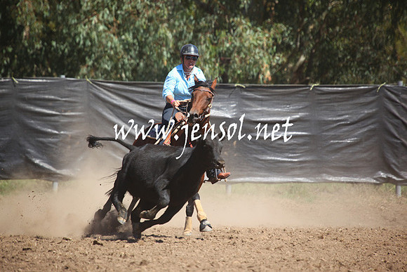 GundagaiGiddyup2013_5D_0429