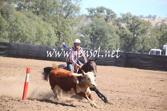 GundagaiGiddyup2013_5D_0159