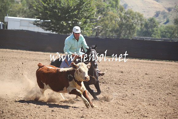 GundagaiGiddyup2013_5D_0424