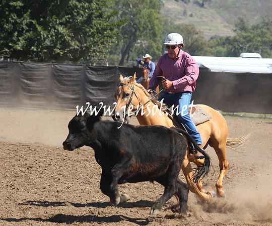 GundagaiGiddyup2013_5D_0069