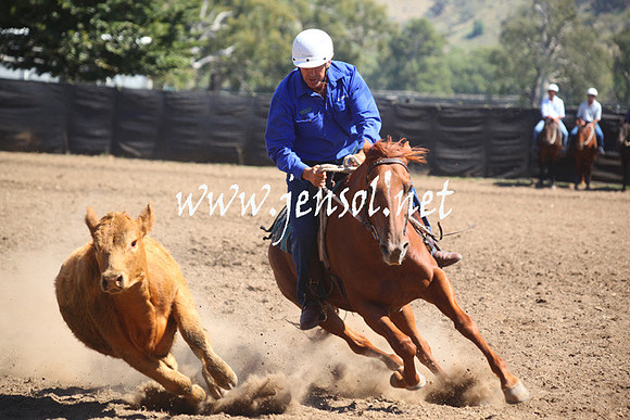 GundagaiGiddyup2013_5D_0157