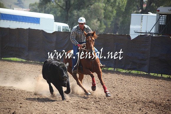 GundagaiGiddyup2013_5D_0282