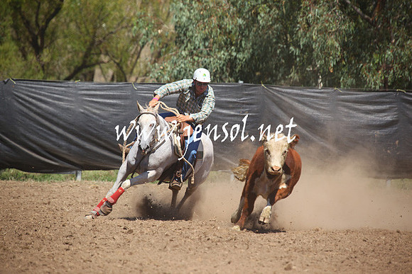 GundagaiGiddyup2013_5D_0148