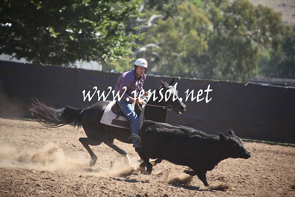 GundagaiGiddyup2013_5D_0434