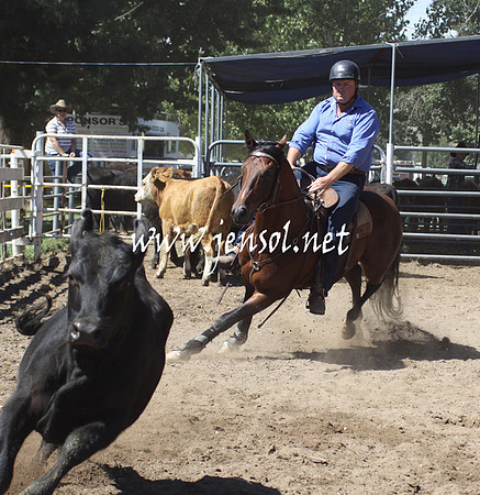 GundagaiGiddyup2013_50D_3000