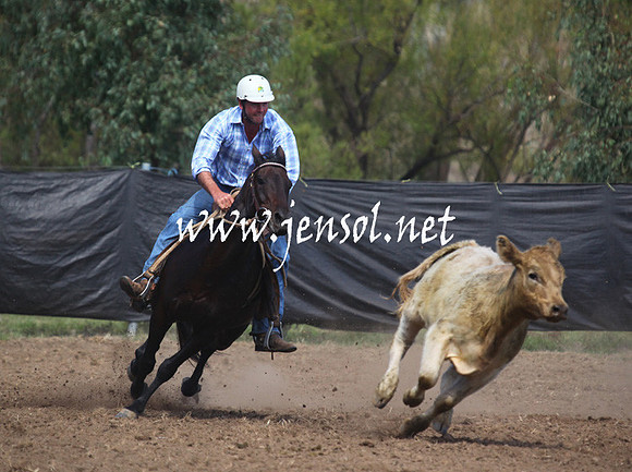 GundagaiGiddyup2013_5D_0024