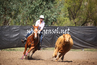 GundagaiGiddyup2013_5D_0040