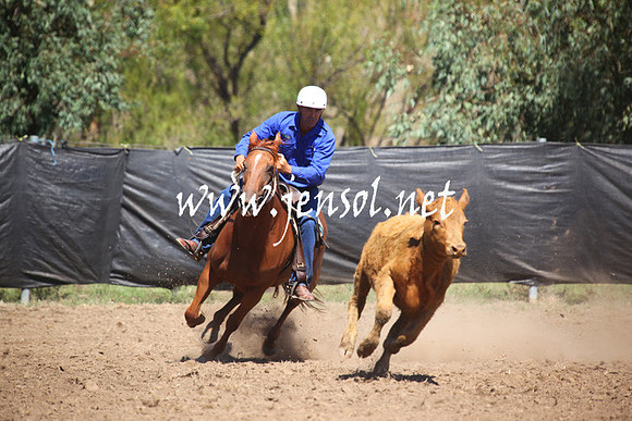 GundagaiGiddyup2013_5D_0154