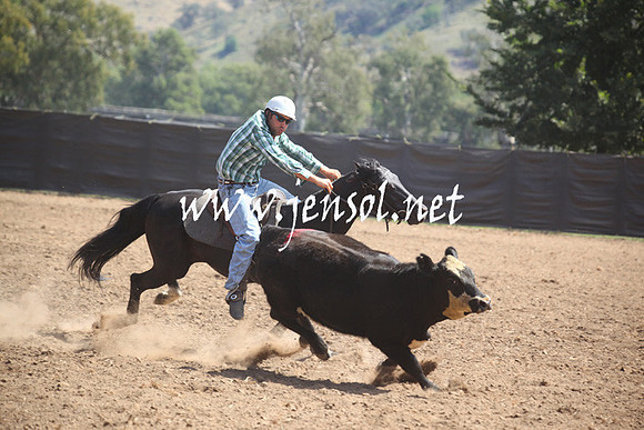GundagaiGiddyup2013_5D_0391