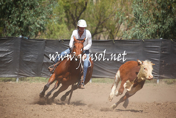 GundagaiGiddyup2013_5D_0107