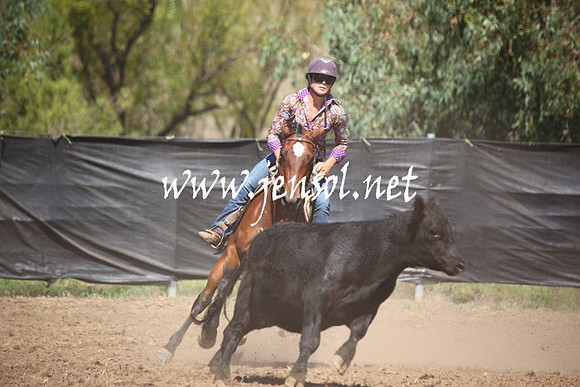 GundagaiGiddyup2013_5D_0085