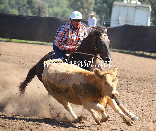 GundagaiGiddyup2013_5D_0058