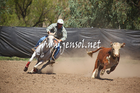 GundagaiGiddyup2013_5D_0147