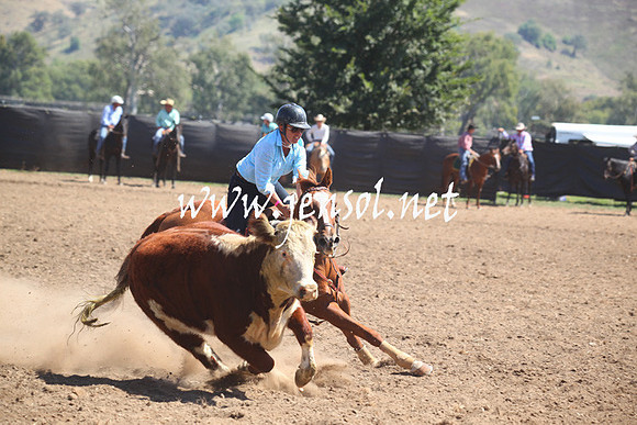 GundagaiGiddyup2013_5D_0226