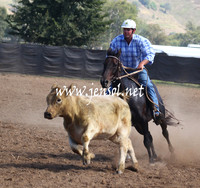GundagaiGiddyup2013_5D_0030