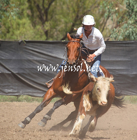 GundagaiGiddyup2013_5D_0105