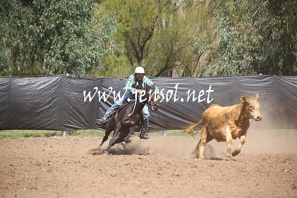 GundagaiGiddyup2013_5D_0179