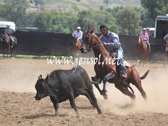 GundagaiGiddyup2013_5D_0292