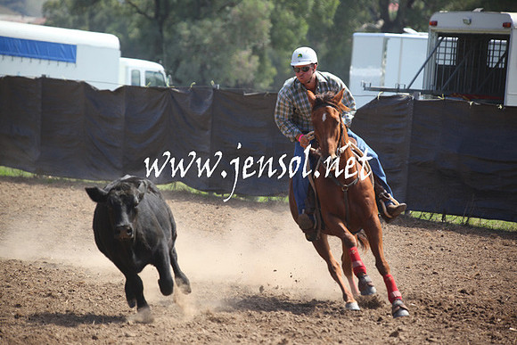 GundagaiGiddyup2013_5D_0284
