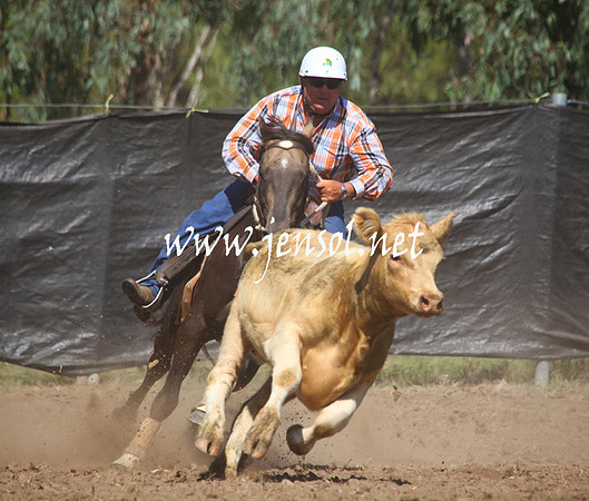 GundagaiGiddyup2013_5D_0057