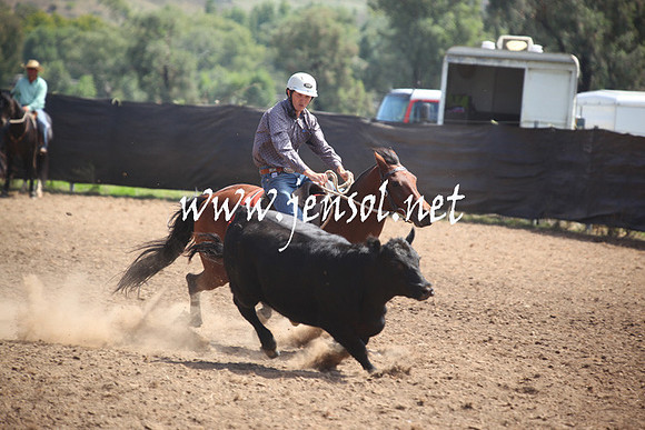 GundagaiGiddyup2013_5D_0373