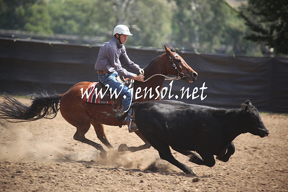 GundagaiGiddyup2013_5D_0374