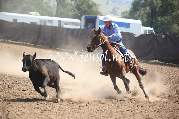 GundagaiGiddyup2013_5D_0315