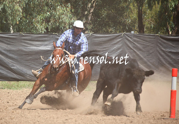 GundagaiGiddyup2013_5D_0198