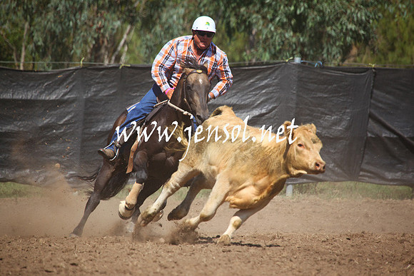 GundagaiGiddyup2013_5D_0055