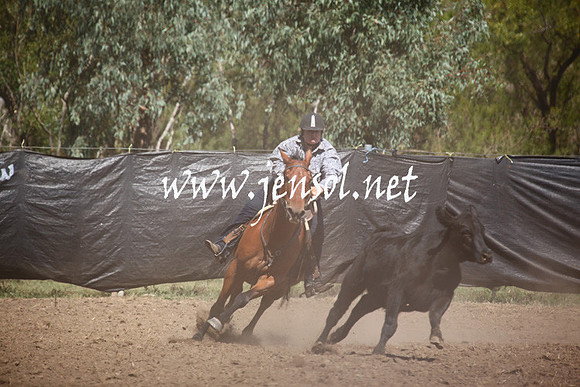 GundagaiGiddyup2013_5D_0165