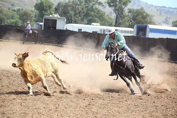 GundagaiGiddyup2013_5D_0306