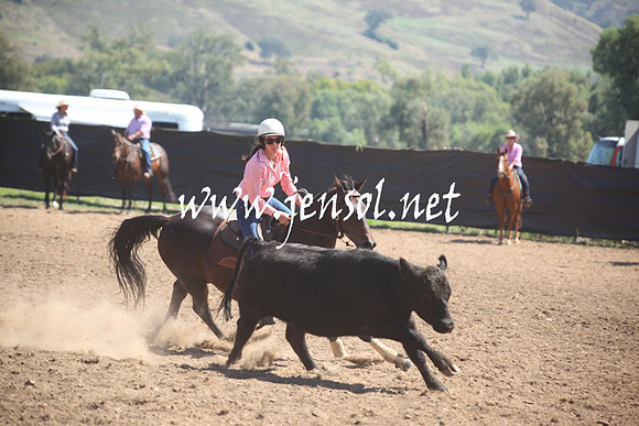 GundagaiGiddyup2013_5D_0246