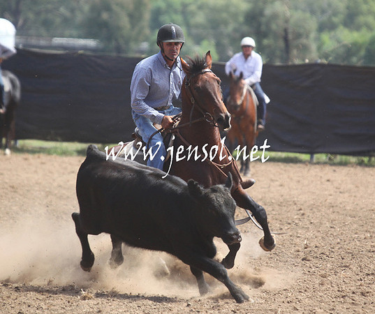 GundagaiGiddyup2013_5D_0289