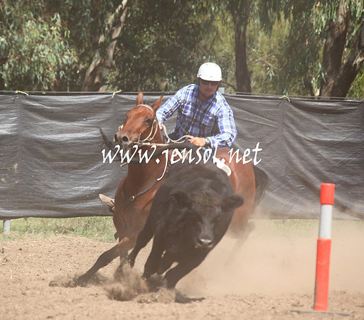 GundagaiGiddyup2013_5D_0197