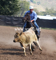 GundagaiGiddyup2013_5D_0029
