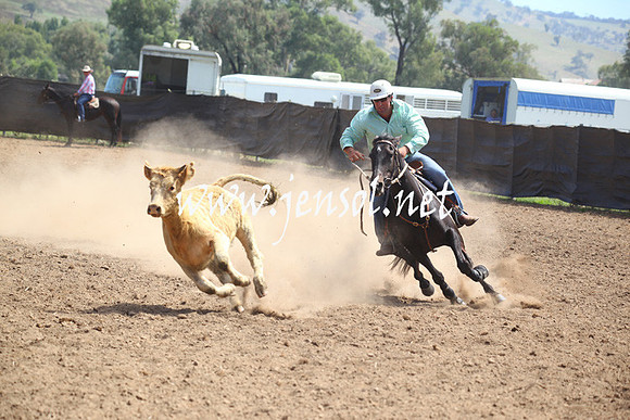 GundagaiGiddyup2013_5D_0305