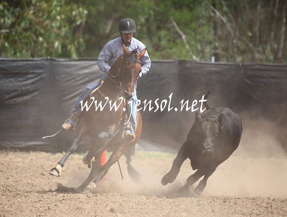GundagaiGiddyup2013_5D_0293