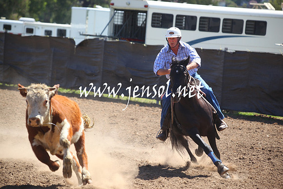 GundagaiGiddyup2013_5D_0413