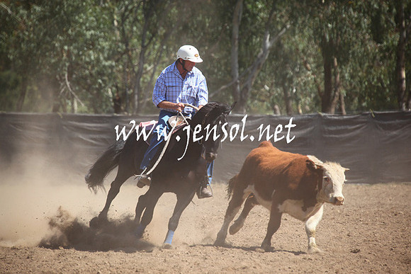 GundagaiGiddyup2013_5D_0419