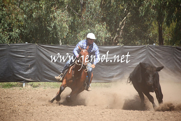 GundagaiGiddyup2013_5D_0195