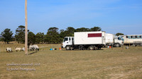 GoulburnCampdraft2018_0278