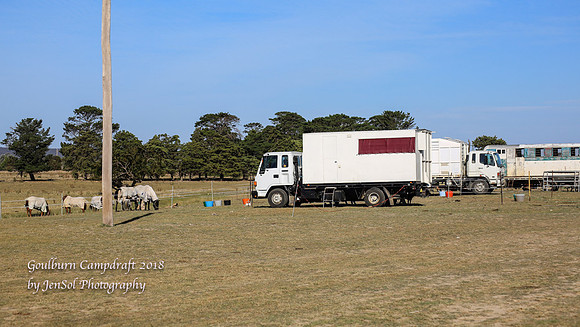 GoulburnCampdraft2018_0278