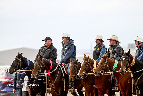 GoulburnCampdraft2018_9184