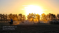 GoulburnCampdraft2018_0281