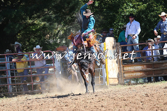 Taralga2015_4850