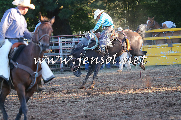 Taralga2015_6875