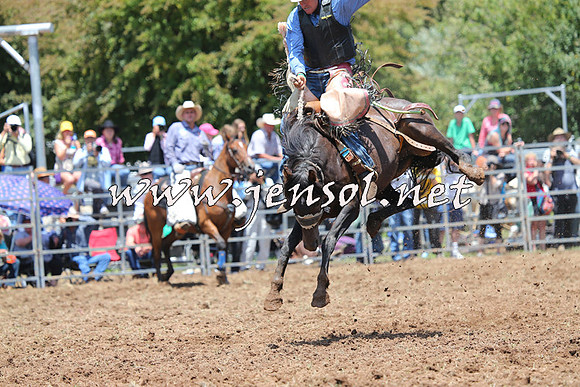 Taralga2015_3525