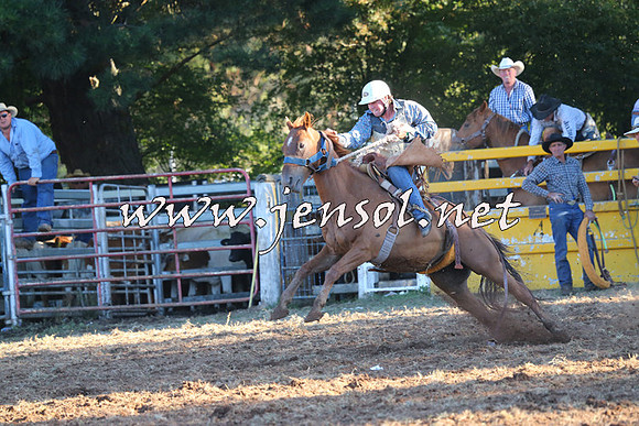 Taralga2015_6684