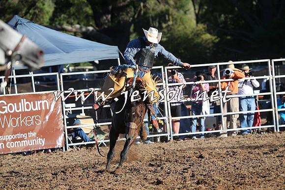 Taralga2015_6836