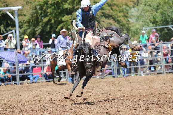 Taralga2015_3526